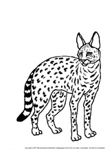 Luchs.pdf